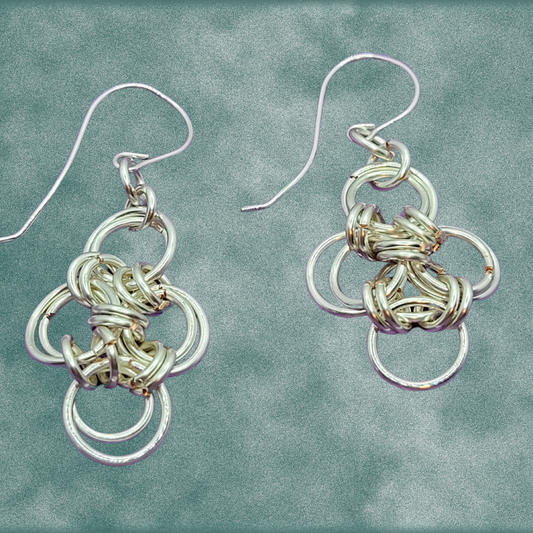 Silver Looped Earrings